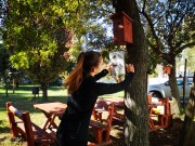 Madáreleségre lenne szükség 2020